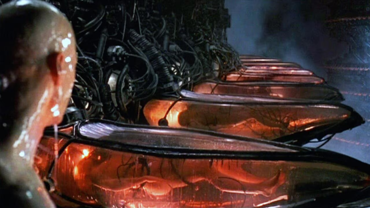 Humans grown in pods as a power source in The Matrix